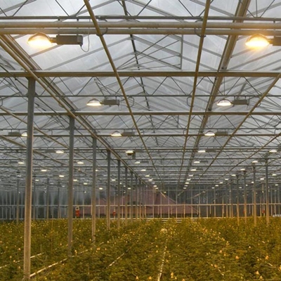 植物の成長のための高いトンネルのフェンローのオートメーション システム ポリカーボネート シートの温室