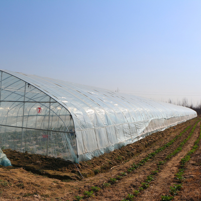 耕作のために透明なアーチの屋外の中国のトンネルのプラスチック温室