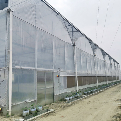 Hydroponic成長するシステム温室の安価温室の農業プラスチック温室