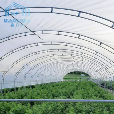 PEのフィルムの成長のキャベツ農業の単一スパン10mの幅のトンネルのプラスチック温室
